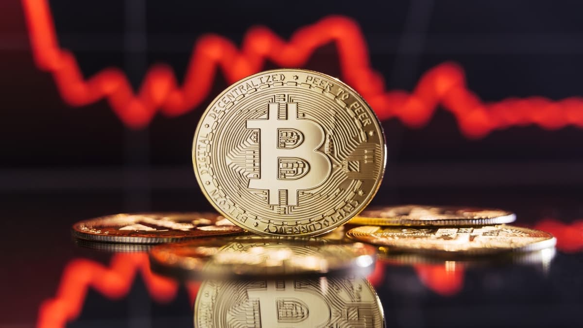 BTCUSA: Empowering You with Crypto Knowledge